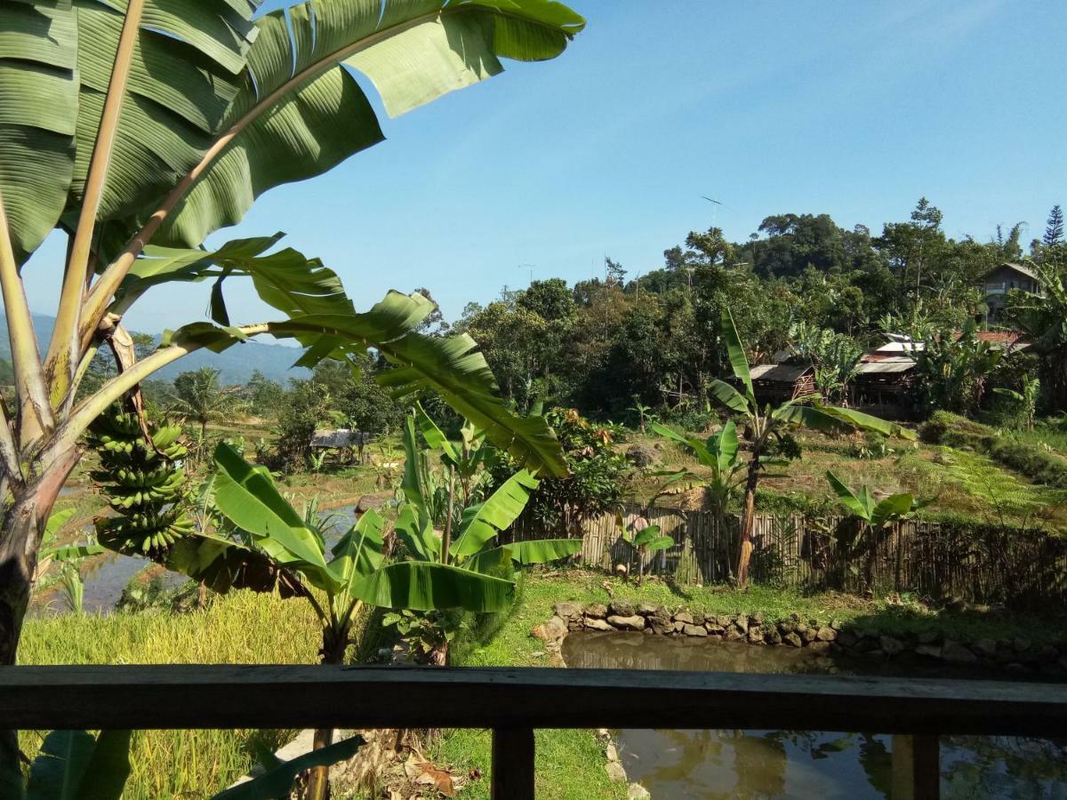 De Salak Homestay Богор Экстерьер фото