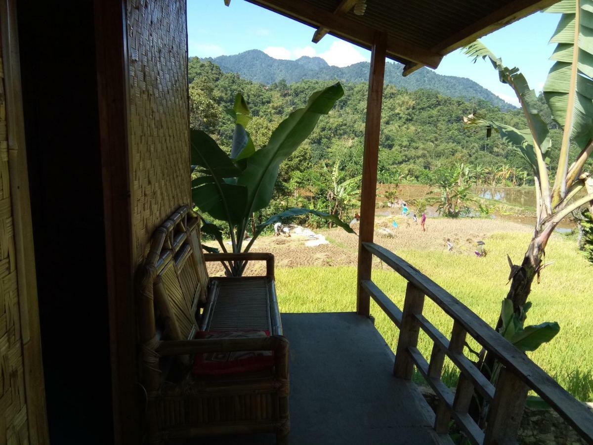 De Salak Homestay Богор Экстерьер фото