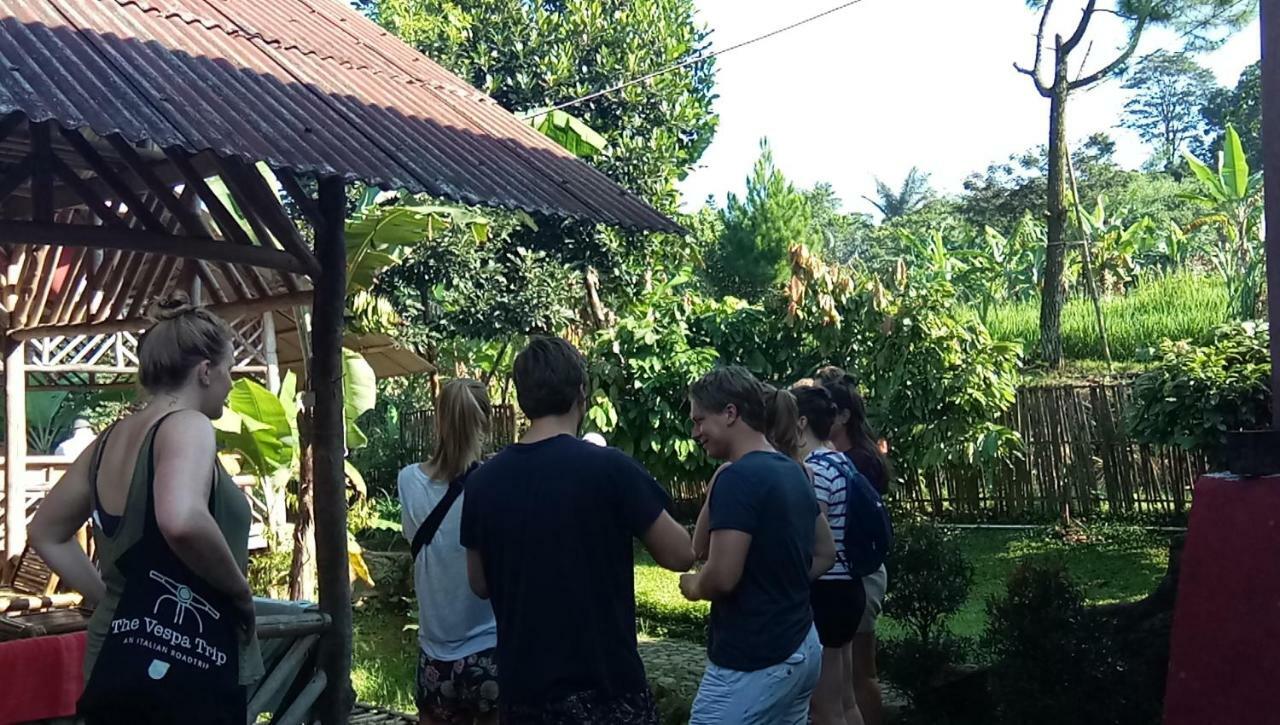 De Salak Homestay Богор Экстерьер фото