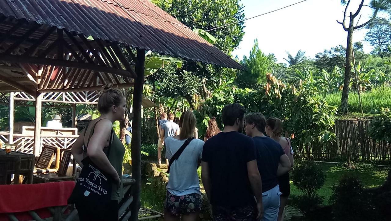 De Salak Homestay Богор Экстерьер фото