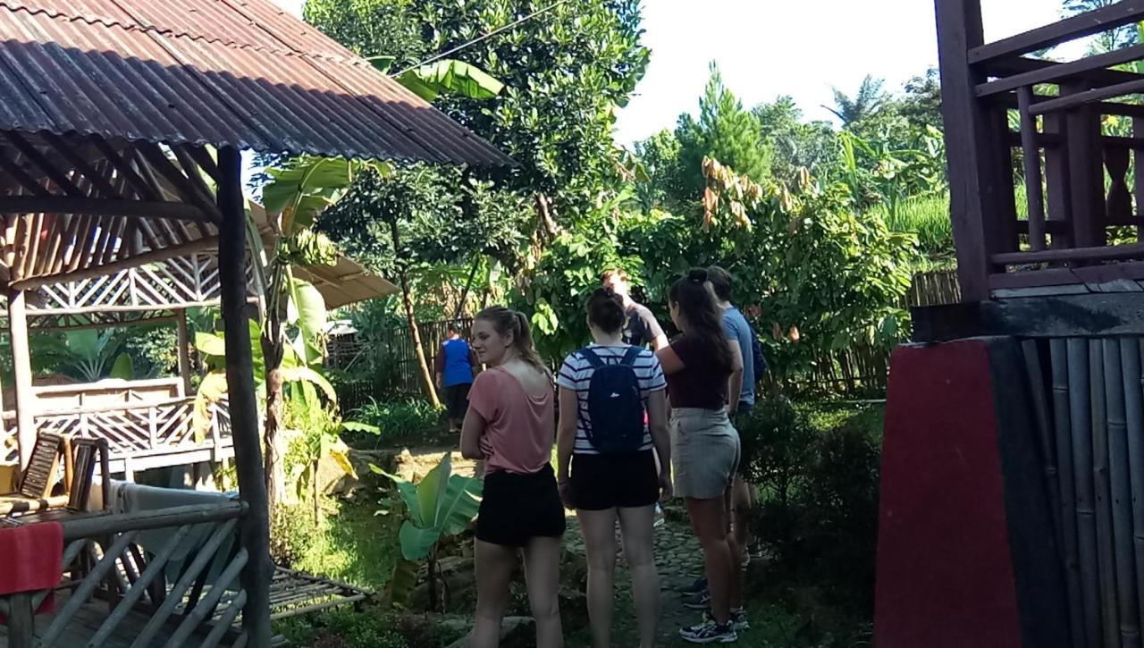 De Salak Homestay Богор Экстерьер фото